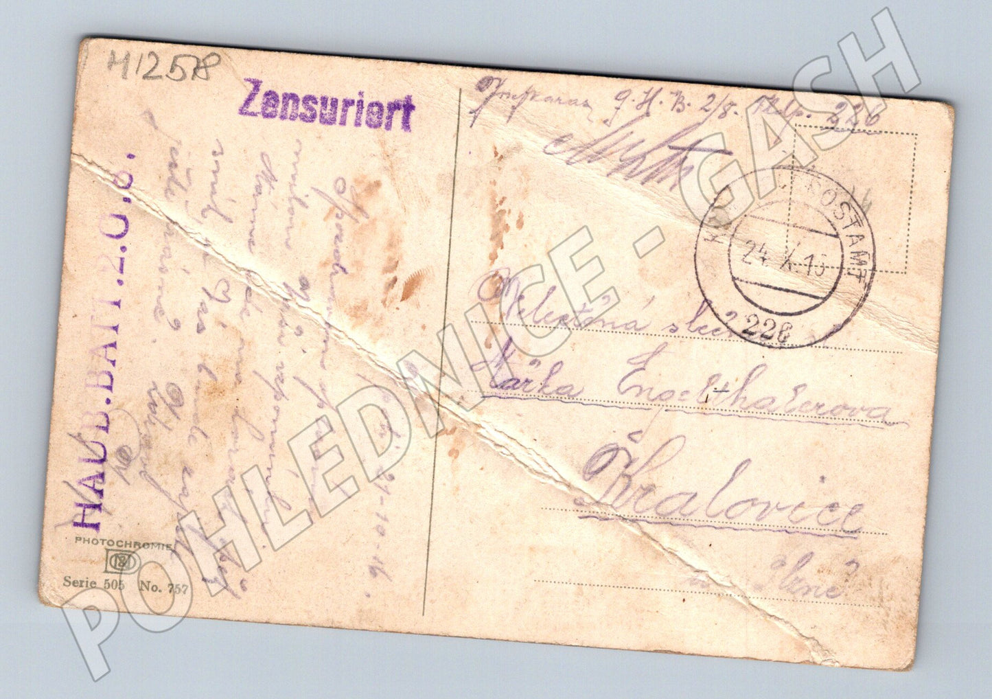 Pohlednice Květiny DĚLOSTŘELECTVO (M12518)