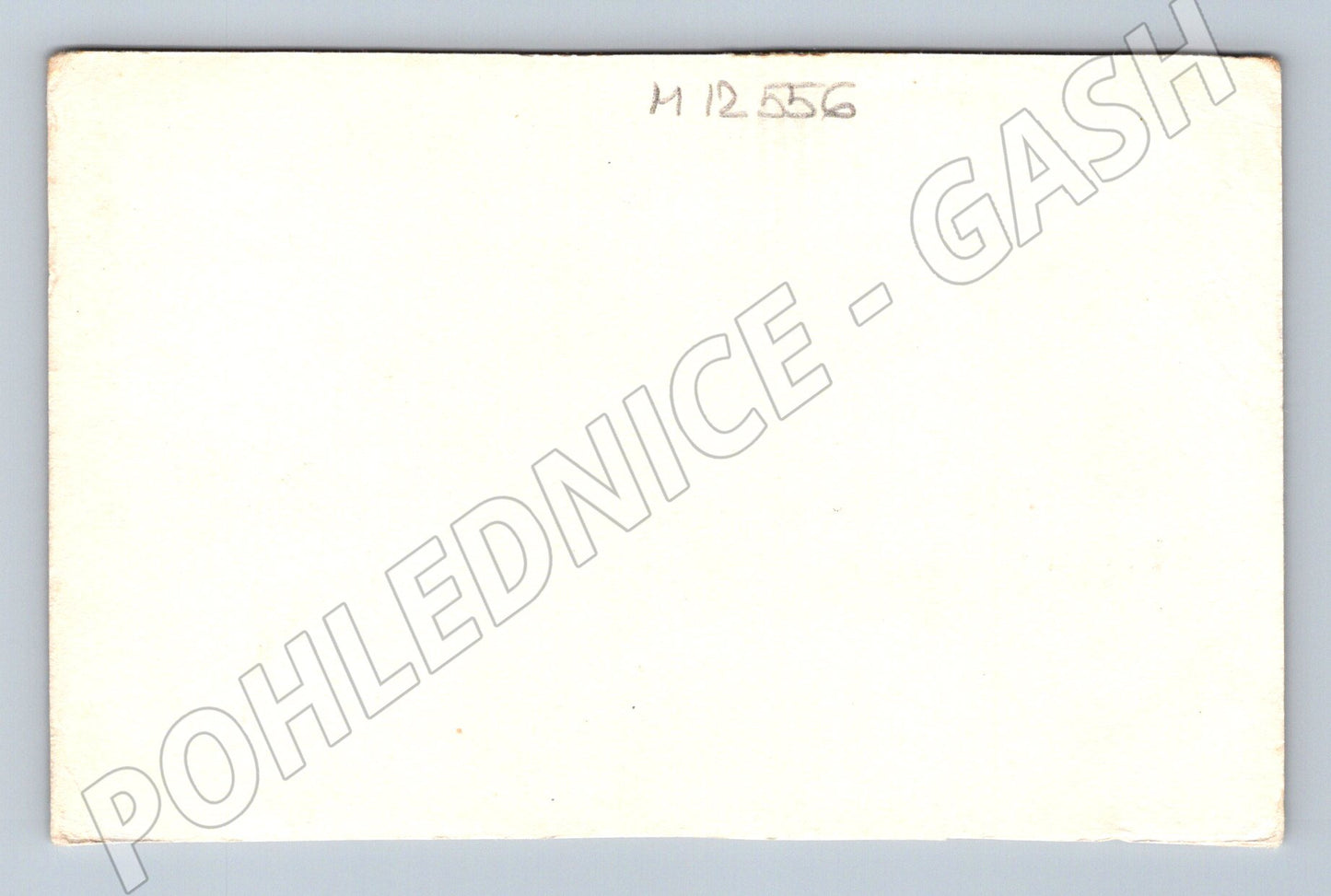 Pohlednice mýval v zimní krajině (M12556)