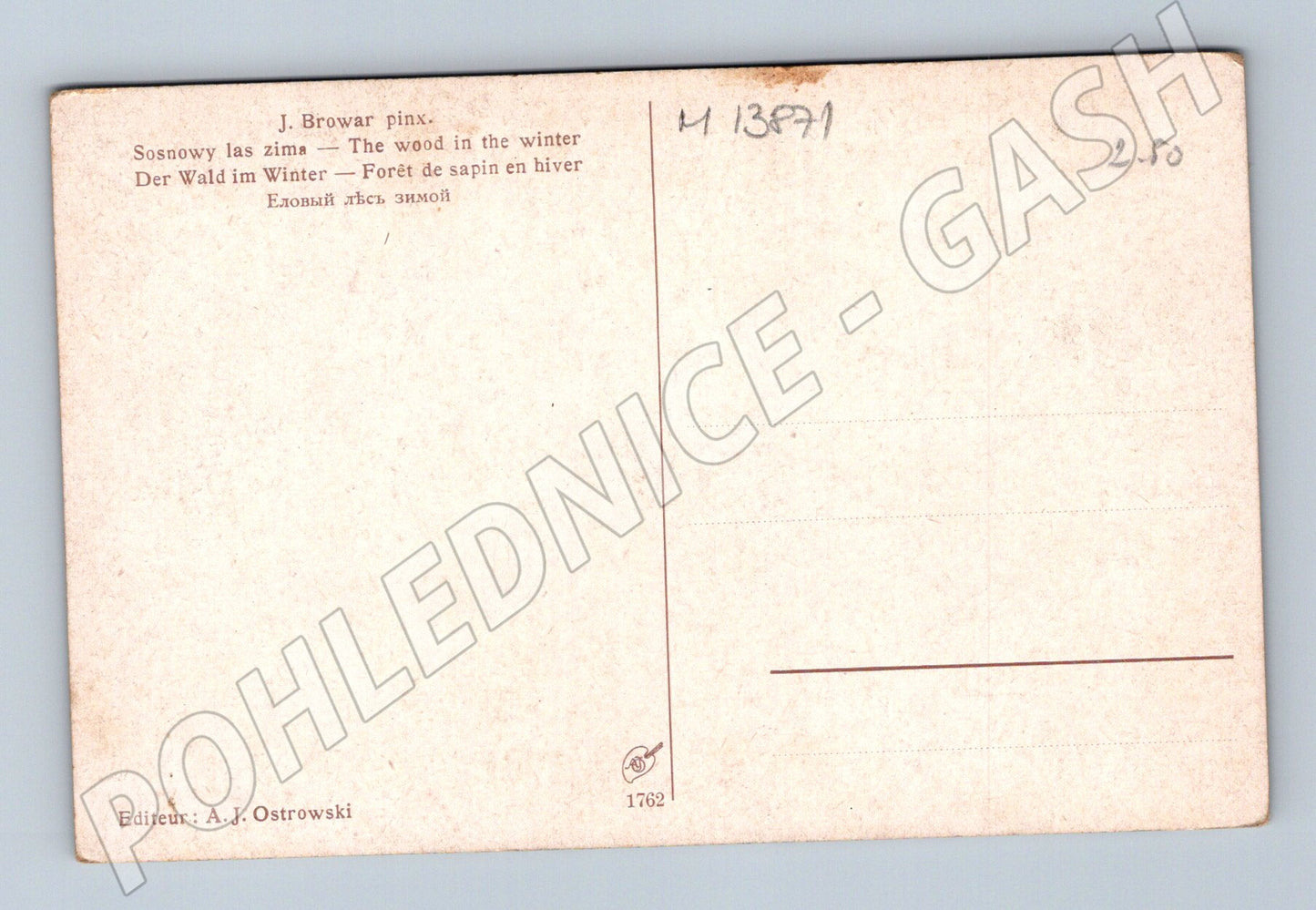 Pohlednice zimní borový les J. Browar Ostrowski (M13871)