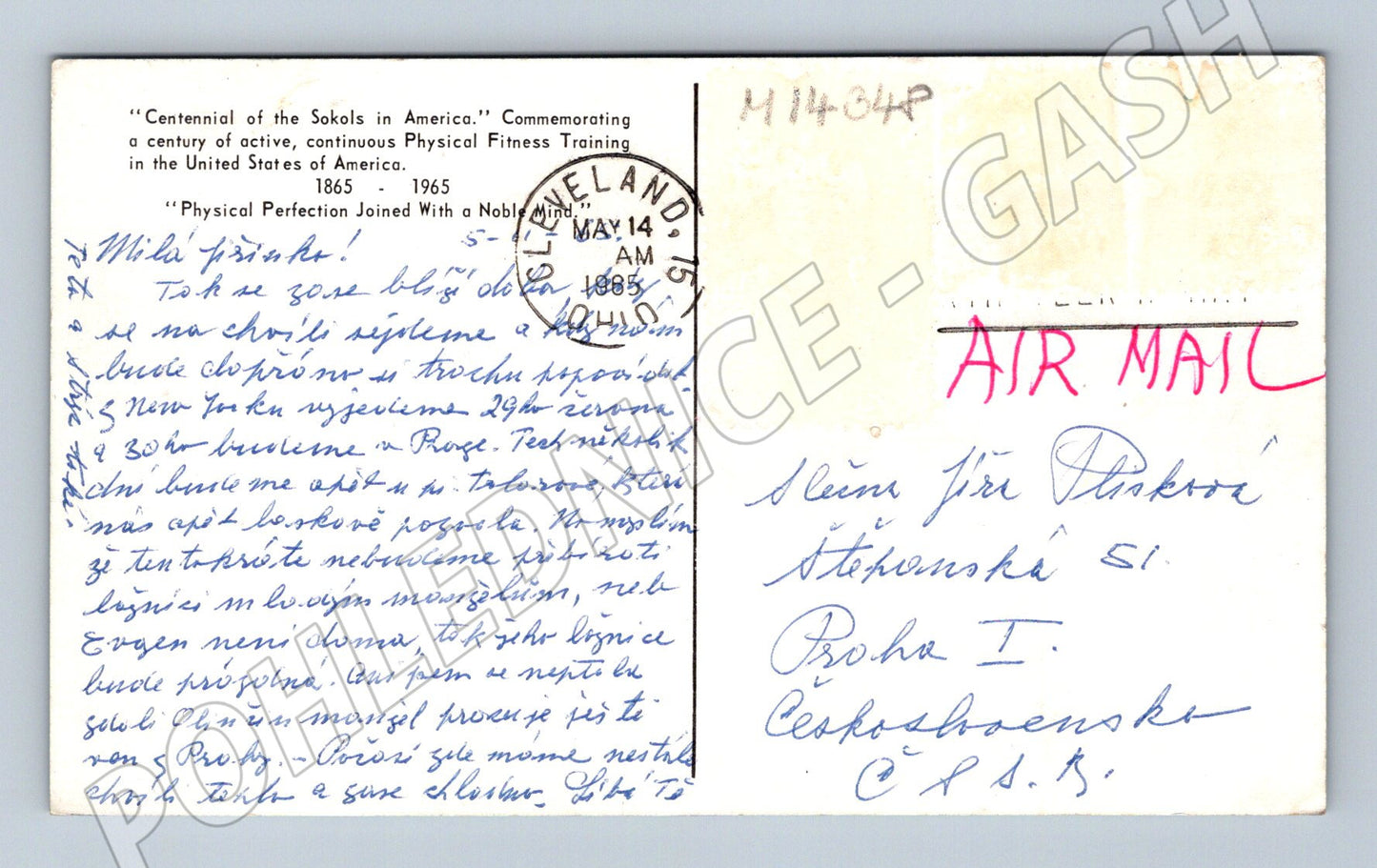 Pohlednice Centennial of the Sokols v Americe (M14348)