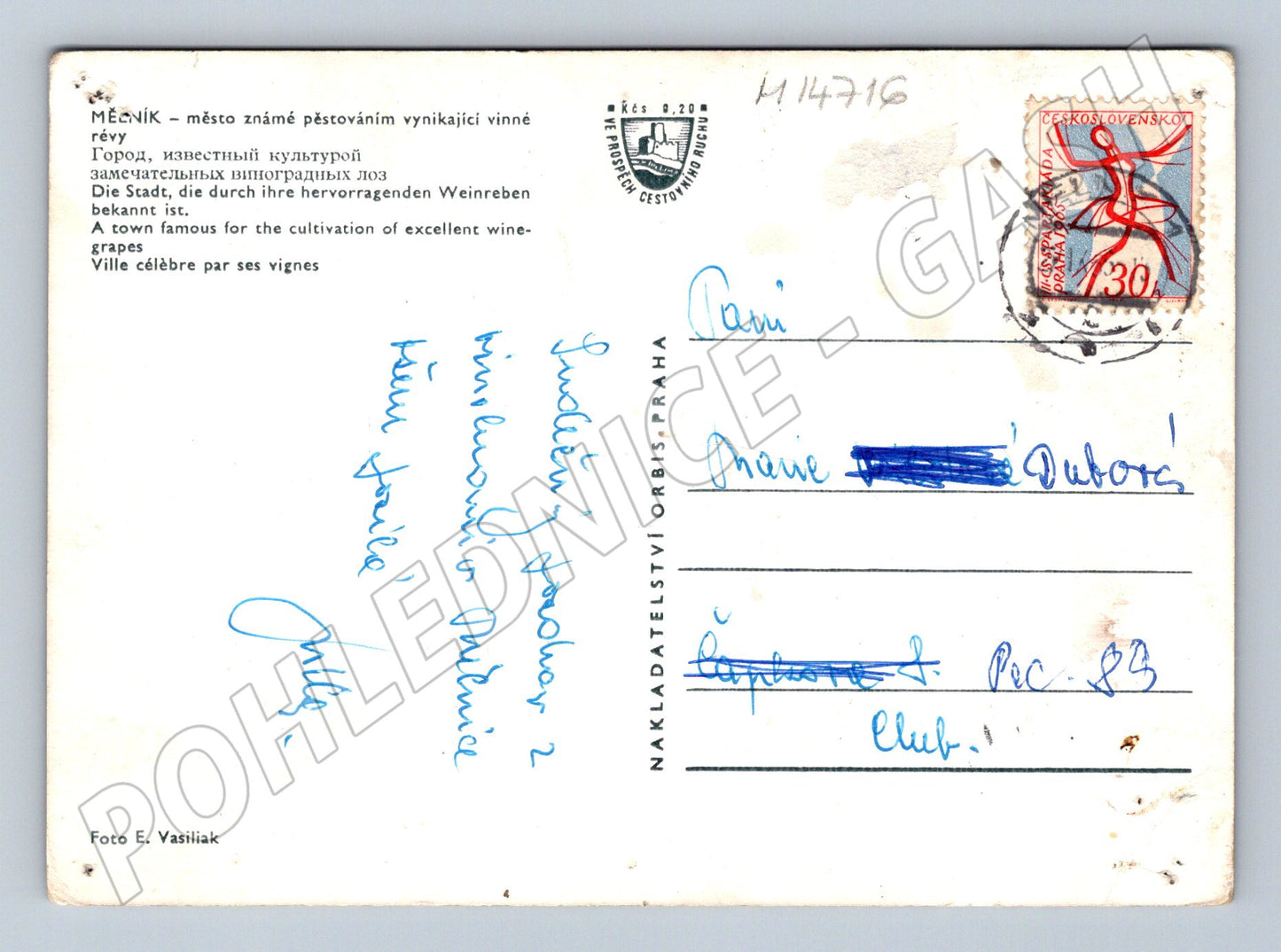 Pohlednice Mělník panorama vinic a města (M14716)