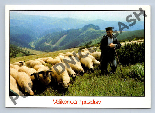 Pohlednice Pastýř s ovcemi v horách etnografie (M1571)