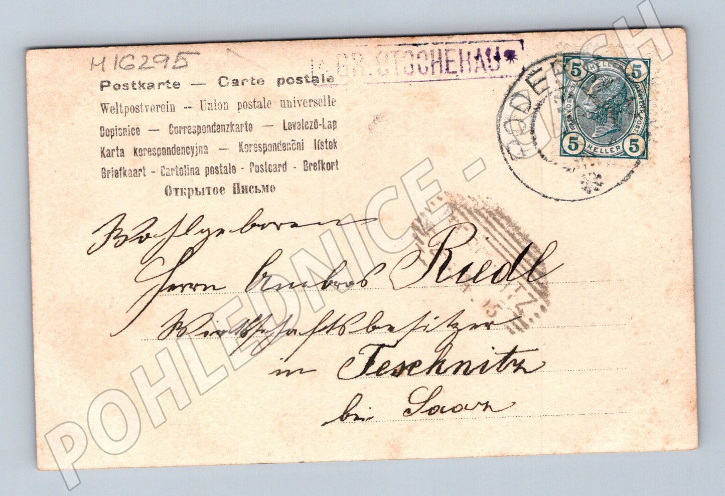 Pohlednice Poděbrady 1905 rodinná fotografie Rakousko Uhersko (M16295)