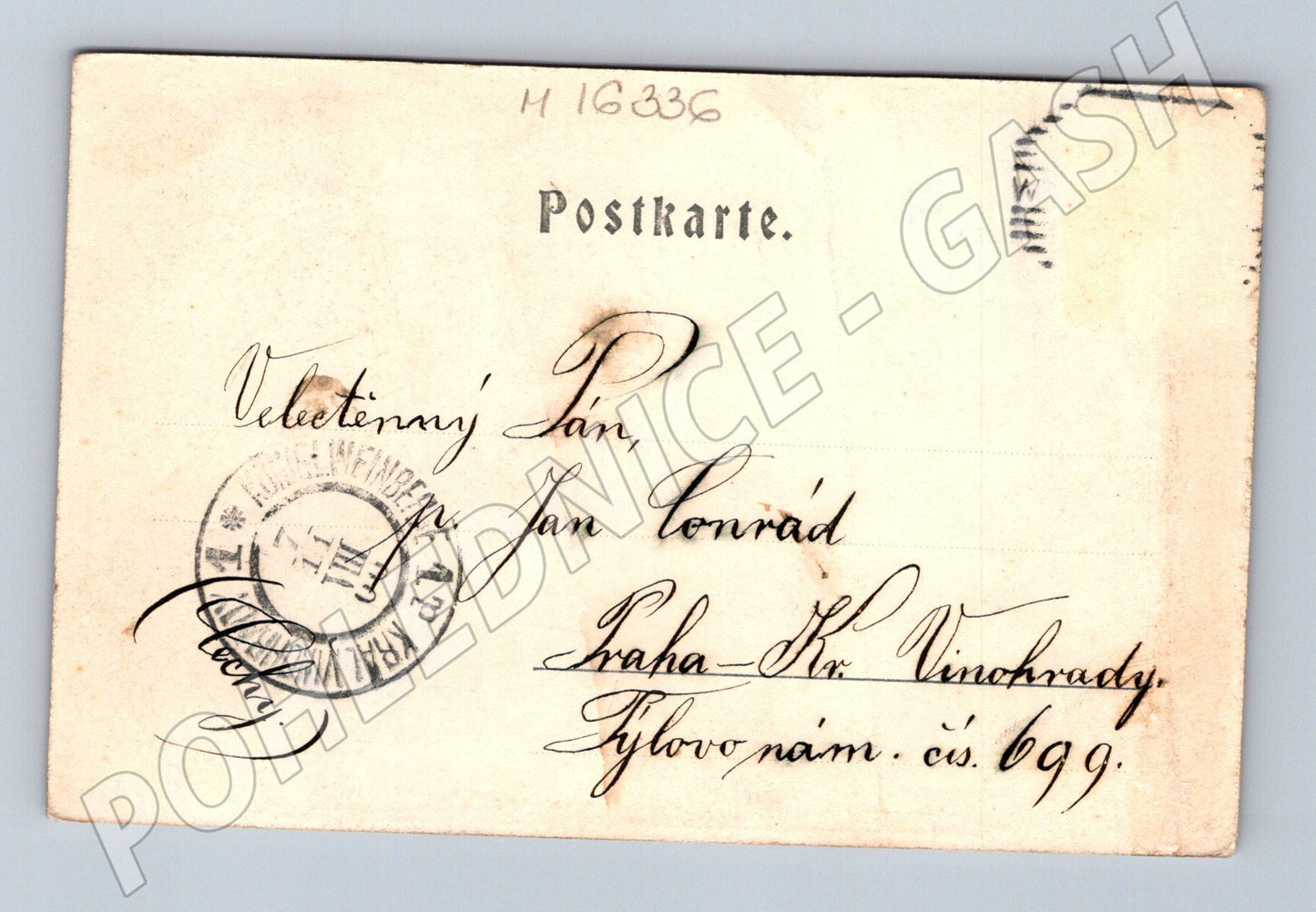 Pohlednice Wiener Neustadt Neunkirchnerstrasse 1900 (M16336)