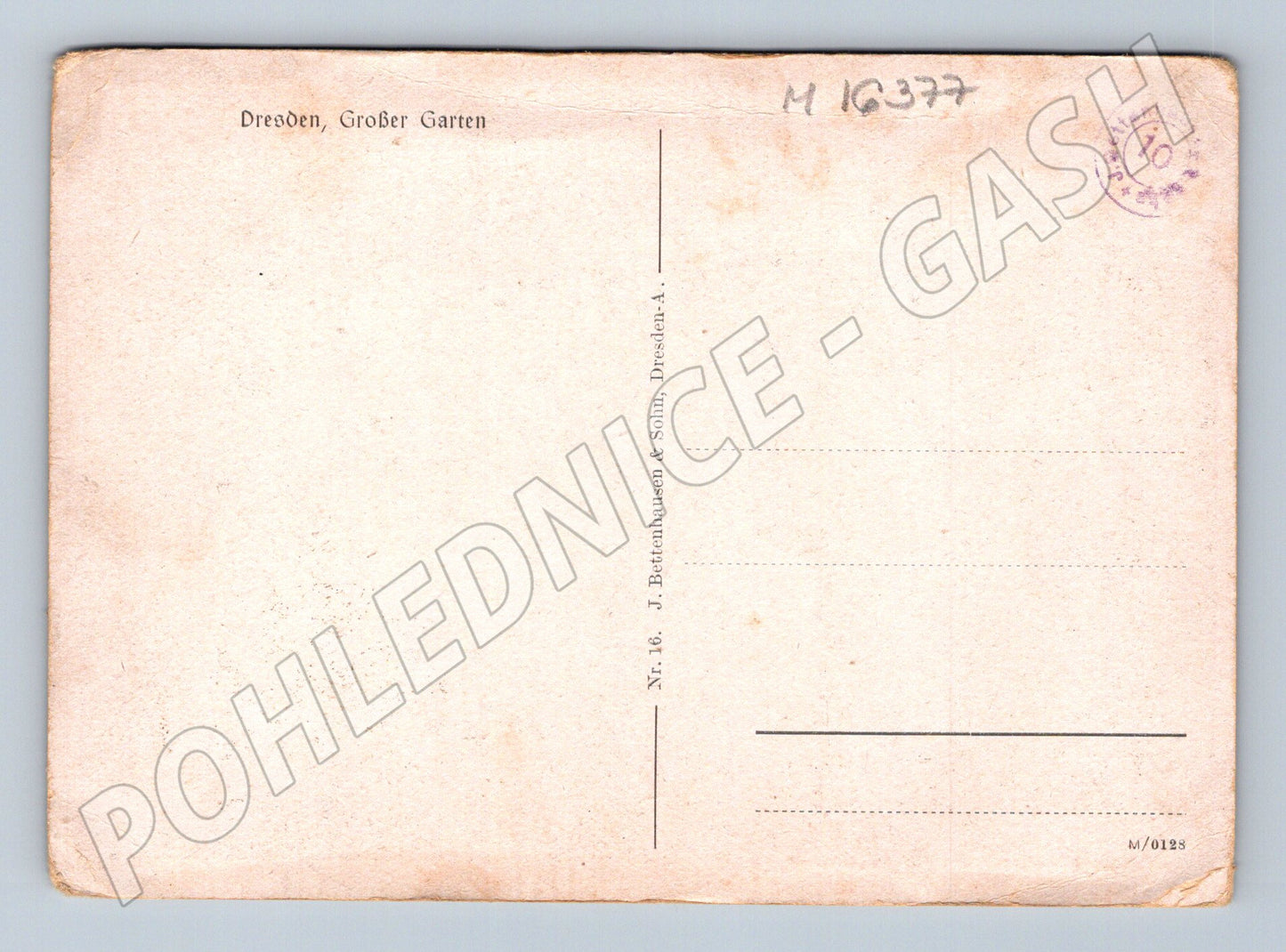 Pohlednice Drážďany Großer Garten Německo neužitá (M16377)