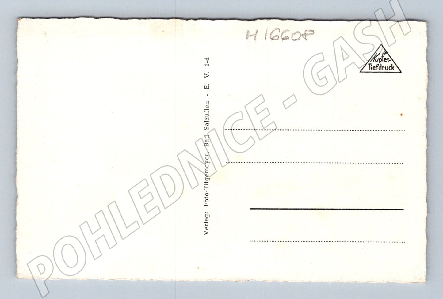 Pohlednice Bad Salzuflen Leichtfontäne (M16608)