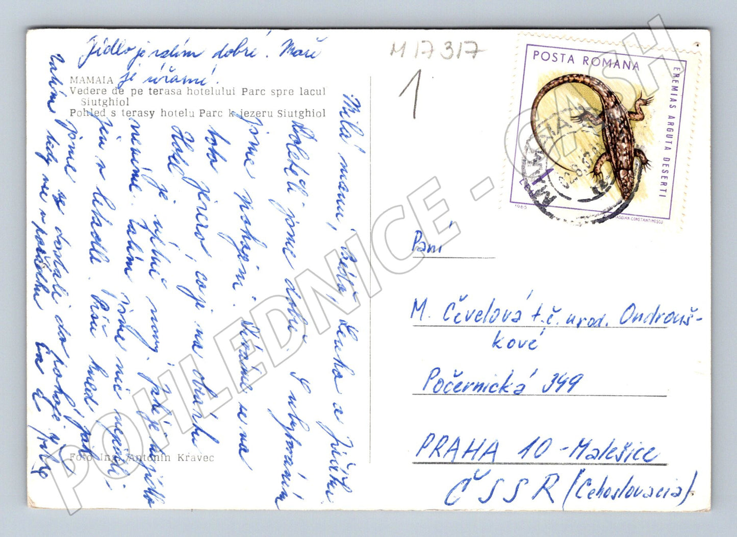 Pohlednice Mamaia hotel Parc jezero (M17317)