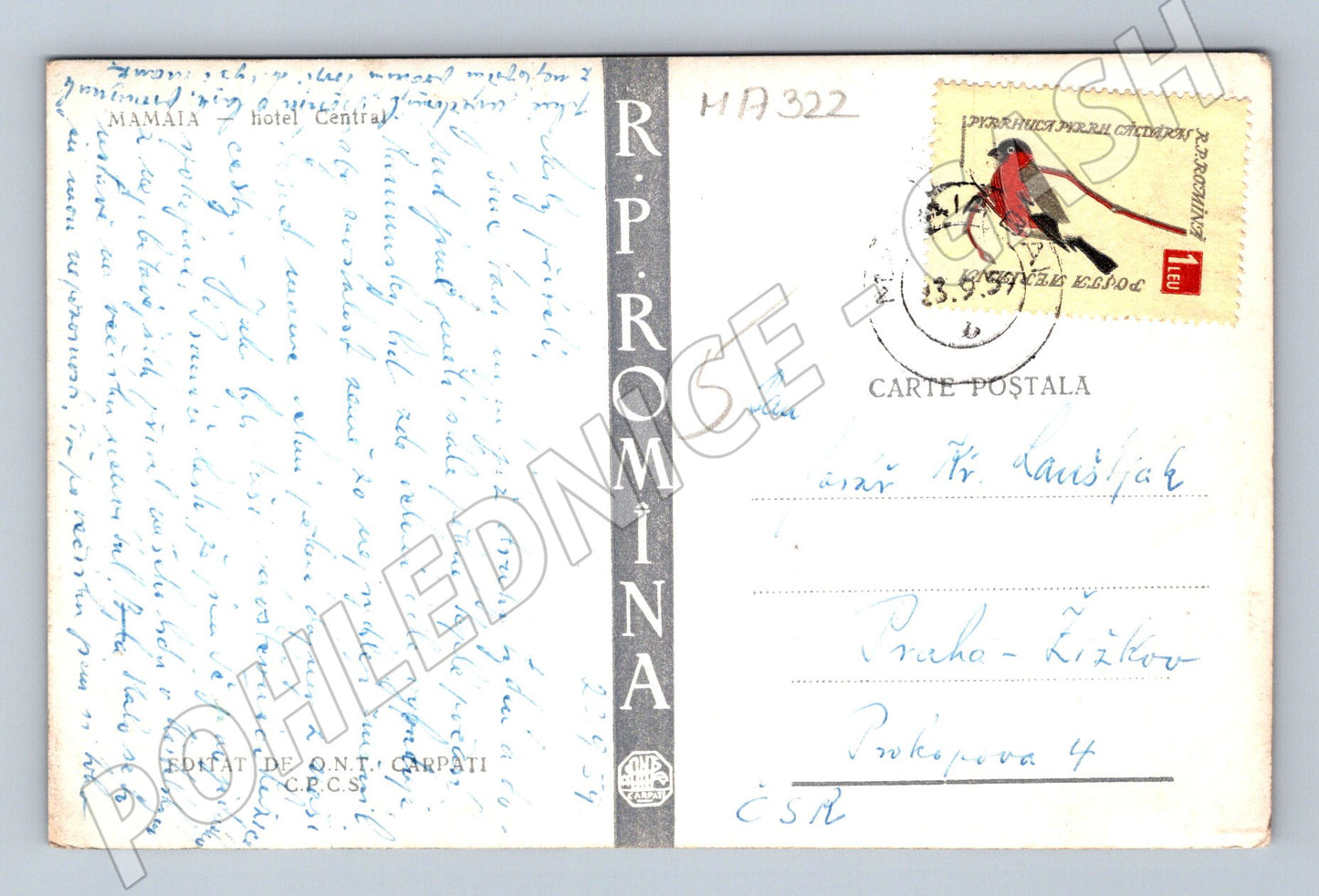 Pohlednice Mamaia hotel Central (M17322)