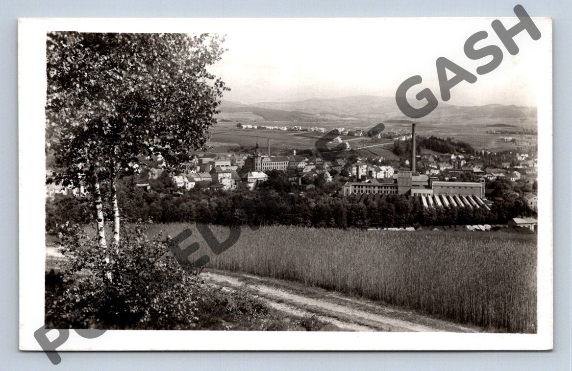 Pohlednice Hronov panorama továrna (M1736)