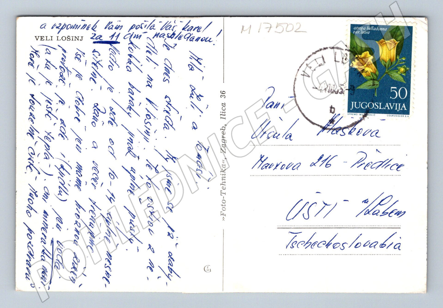 Pohlednice Veli Lošinj Jugoslávie 1975 poštou prošlá (M17502)
