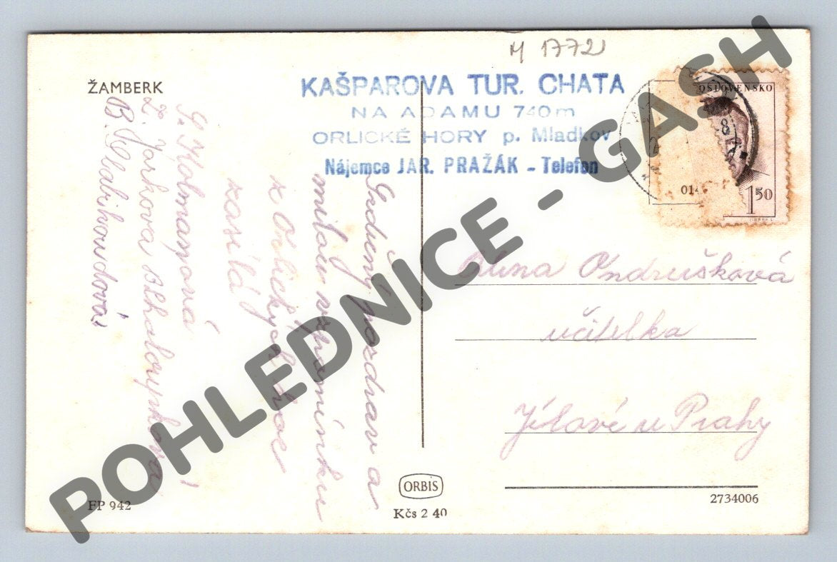 Pohlednice Žamberk kostel sv Václava (M1772)