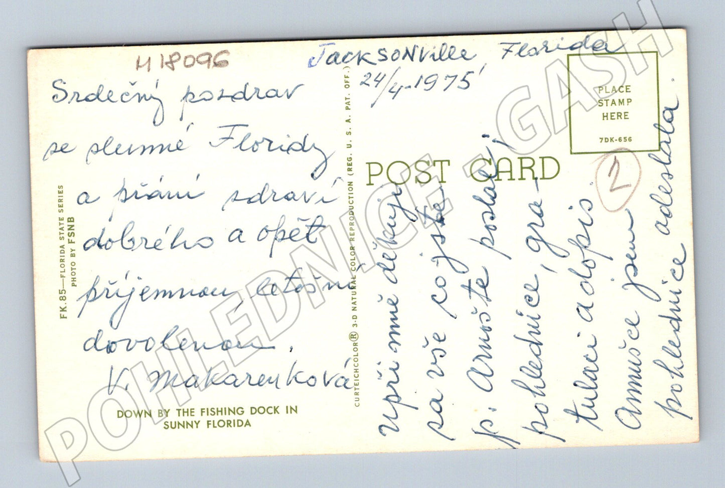 Pohlednice Florida 1975 dítě pes pelikáni (M18096)