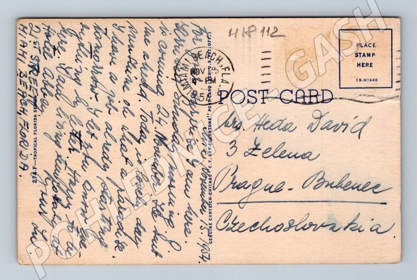 Pohlednice Florida Indian River 1954 (M18112)