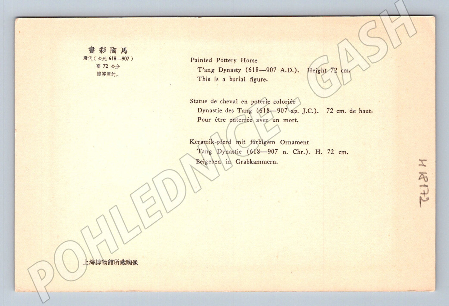 Pohlednice Čína keramický kůň Tang (M18172)