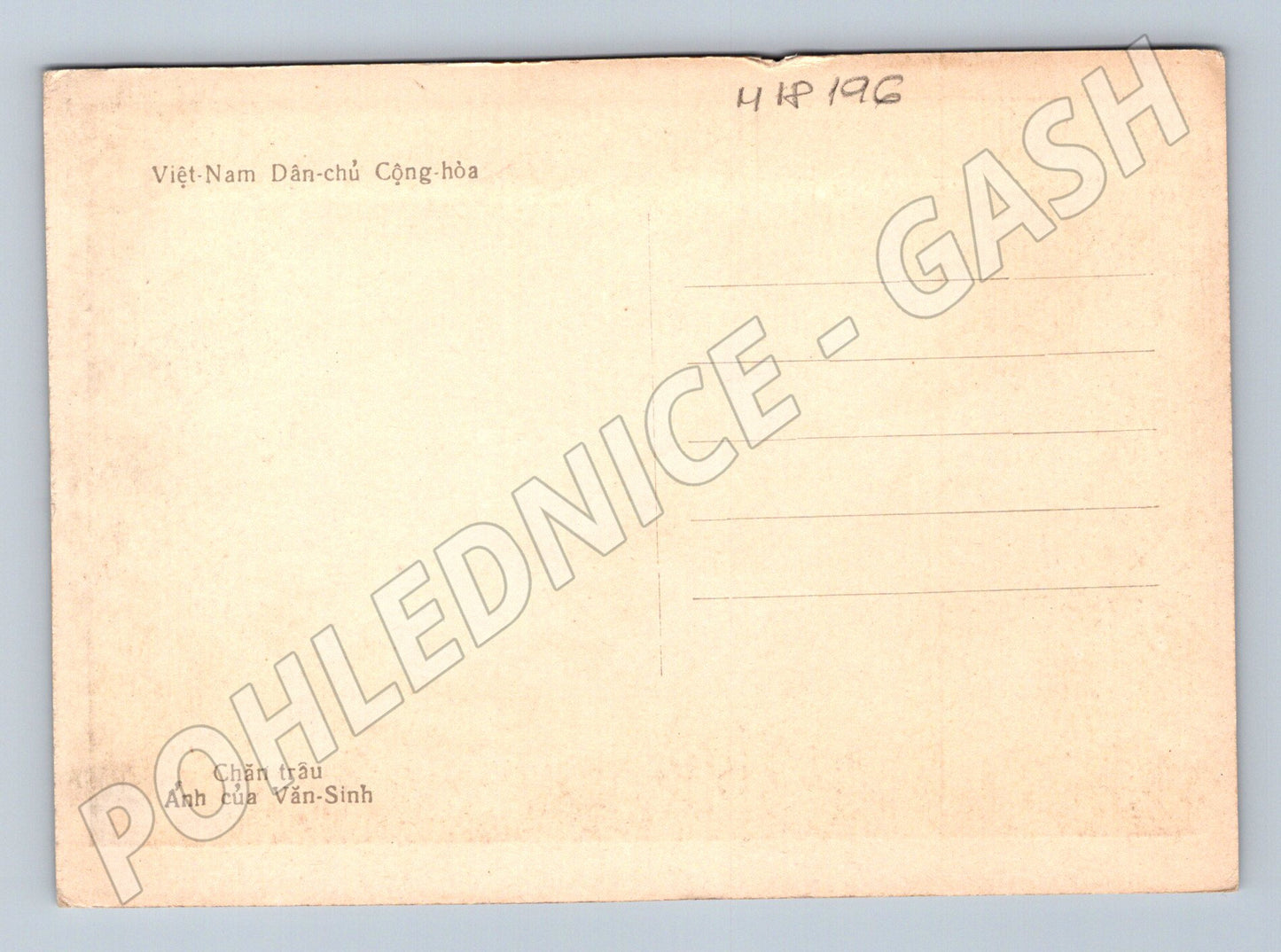 Pohlednice Vietnam chlapec na buvolu etno (M18196)