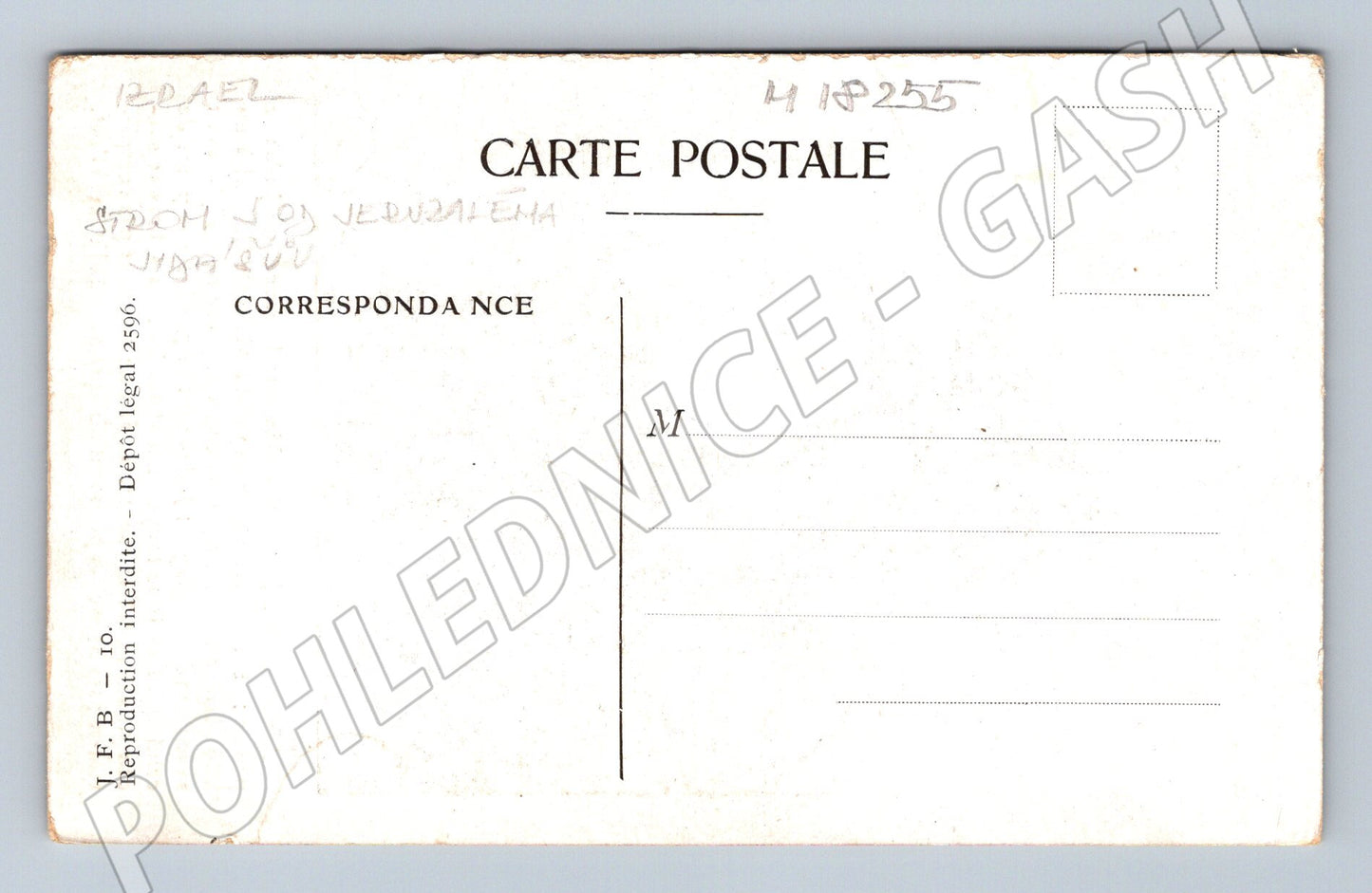 Pohlednice Izrael Palestina Jidášův strom Jeruzalém (M18255)