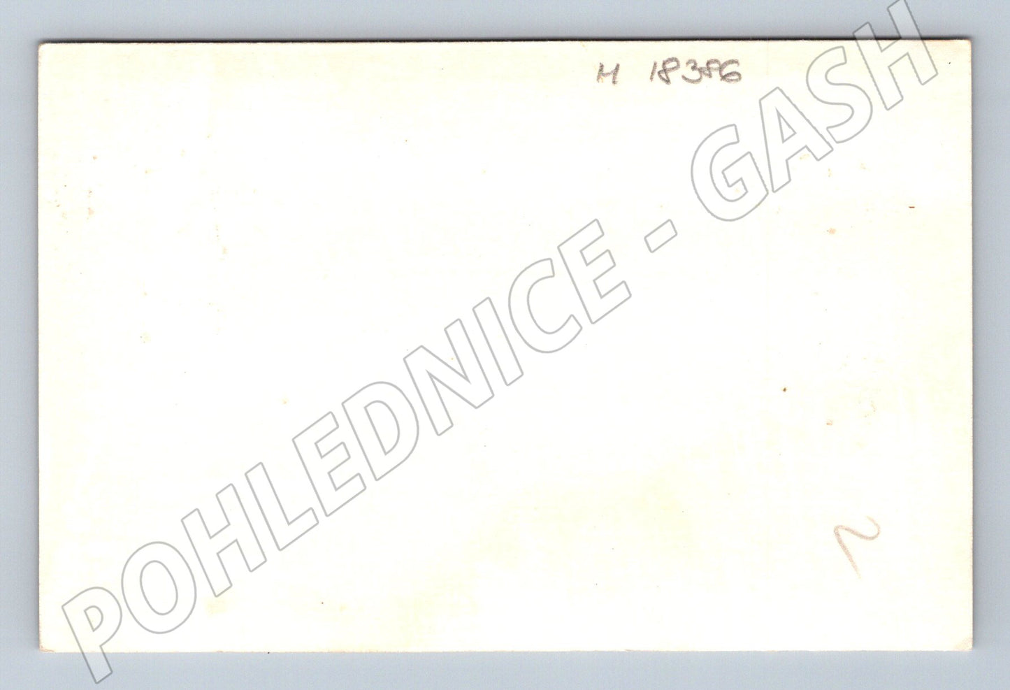 Pohlednice svatební ženich nevěsta čb (M18386)