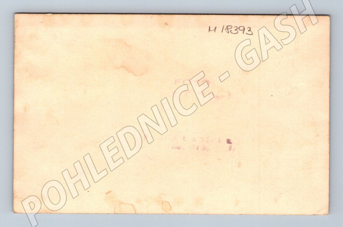 Pohlednice svatební novomanželé a hosté (M18393)