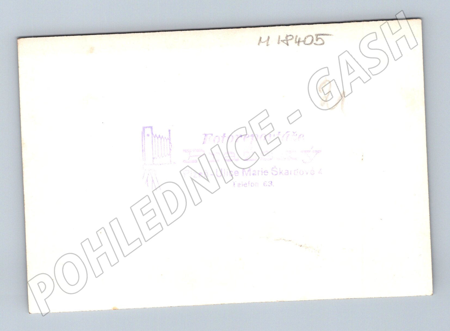 Pohlednice Plzeň svatební skupina do 1950 (M18405)