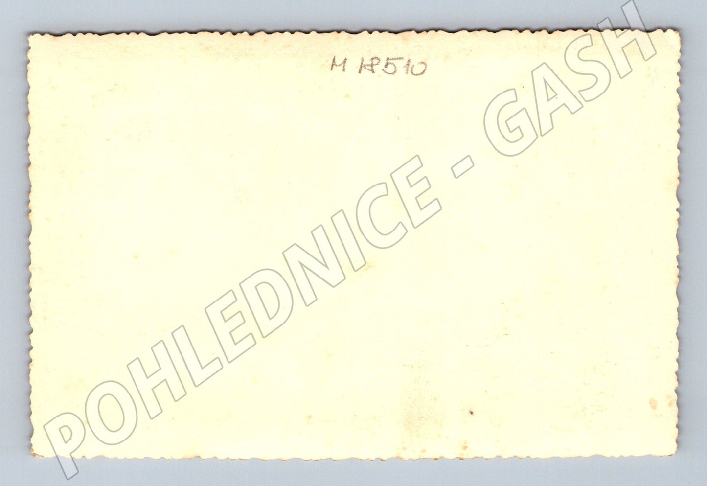 Pohlednice chlapci a pes čb (M18510)
