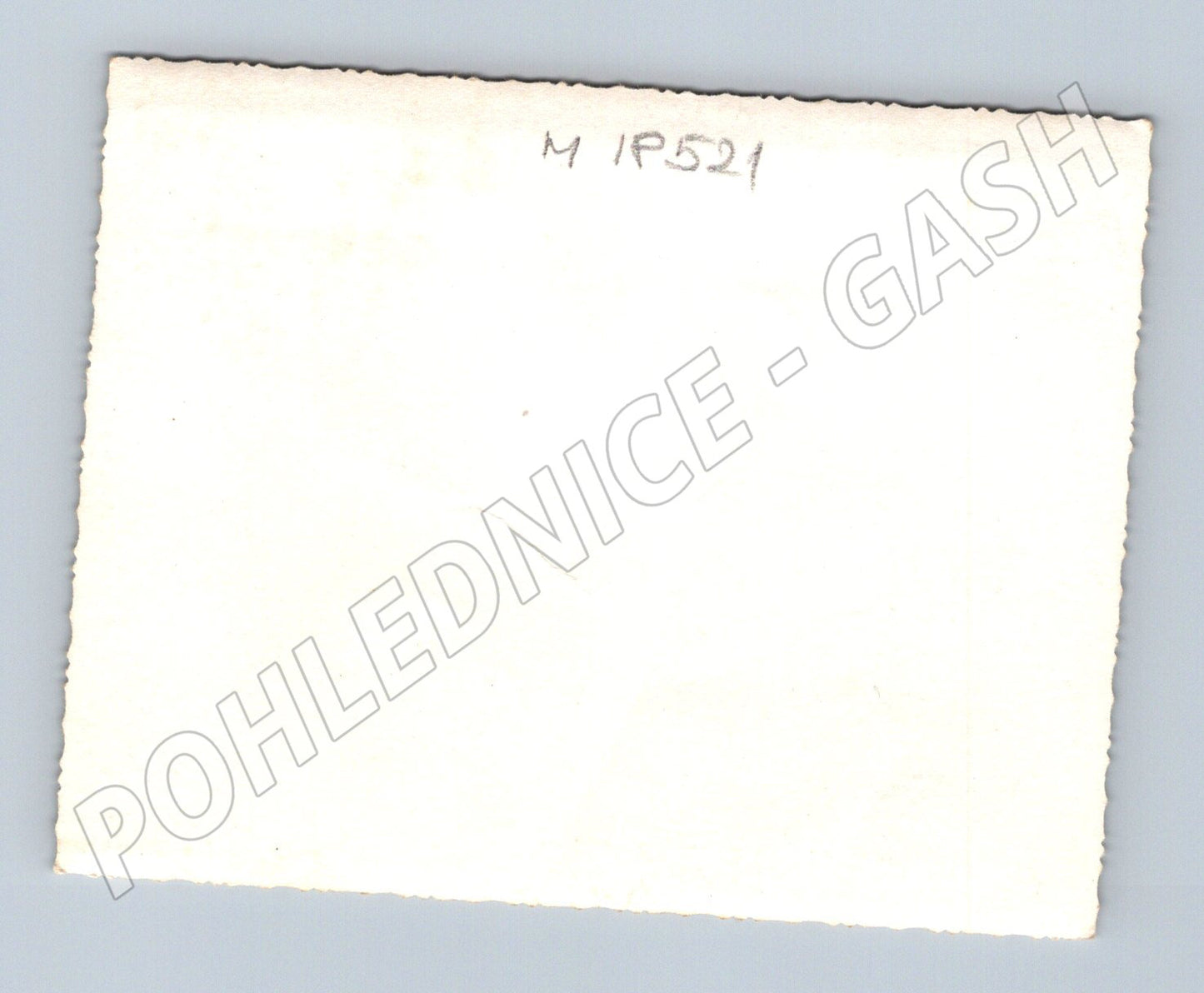 Pohlednice snímek dětí u plotu ČR do 1950 (M18521)