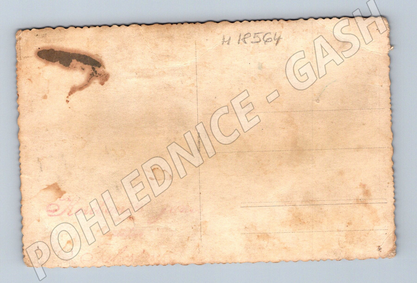 Pohlednice skupinový portrét ČR do 1950 (M18564)