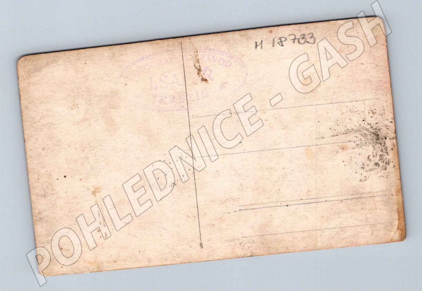 Pohlednice skupina mužů 1 pol 20 století (M18733)