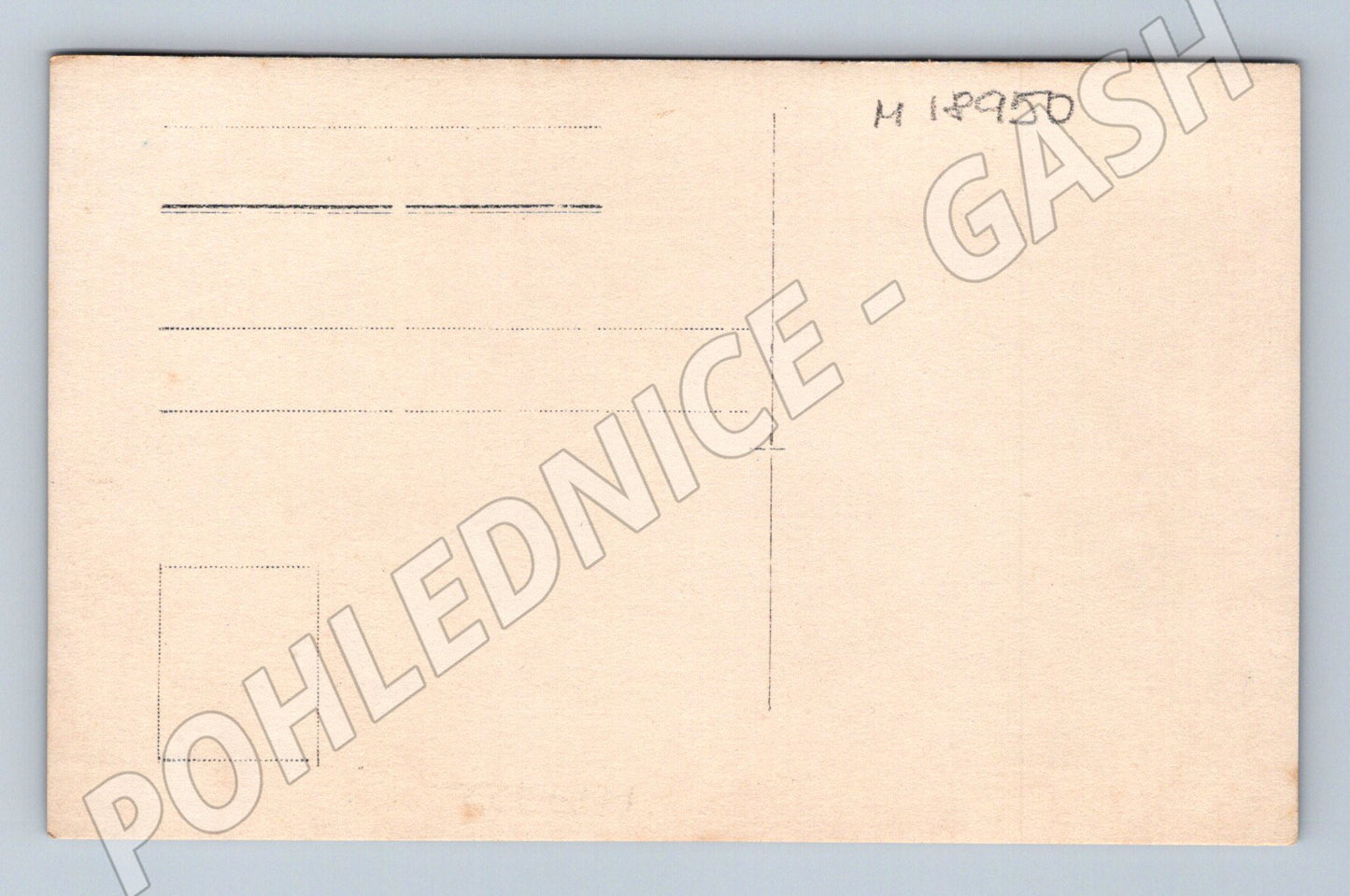 Pohlednice skupina lidí u plotu ČR do 1950 (M18950)