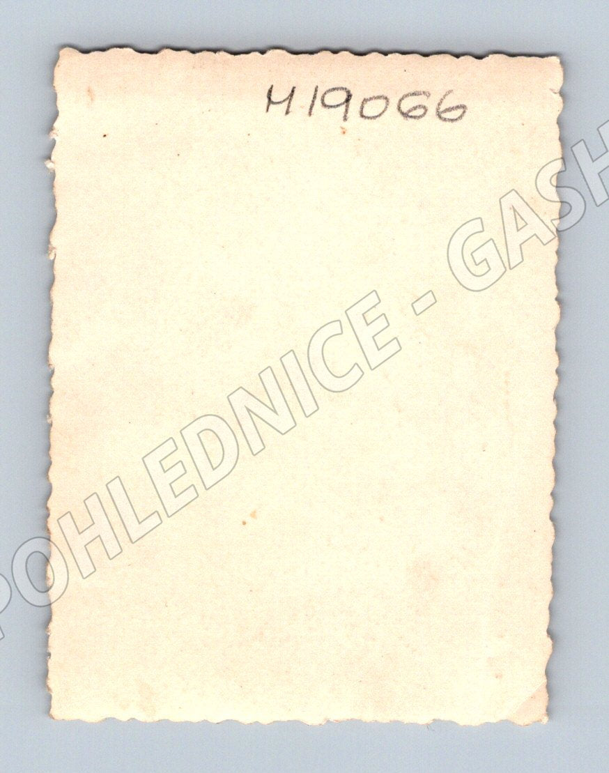 Pohlednice dívka u stromu malý formát před 1950 (M19066)