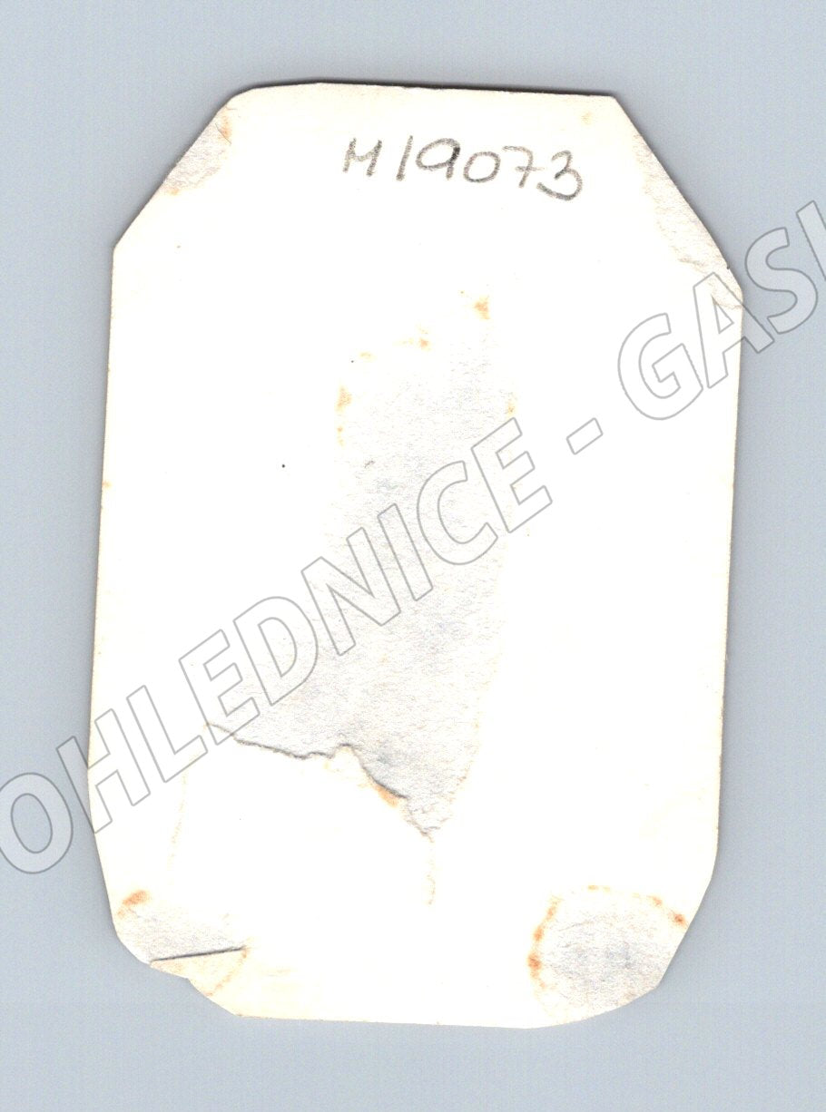 Pohlednice venkovská žena u chalupy etnografie (M19073)