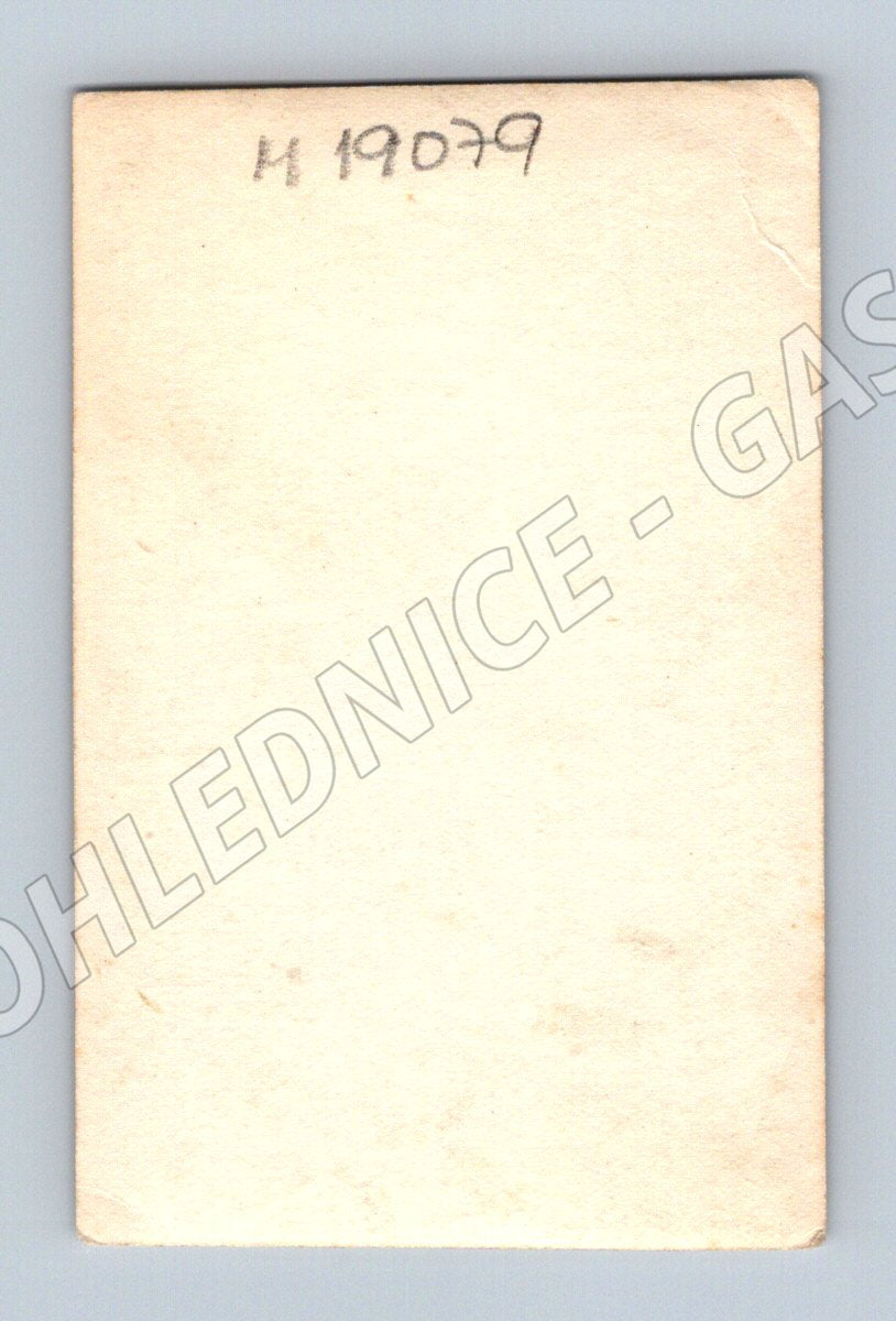 Pohlednice černobílý portrét ženy cca 1 polovina 20 stol (M19079)