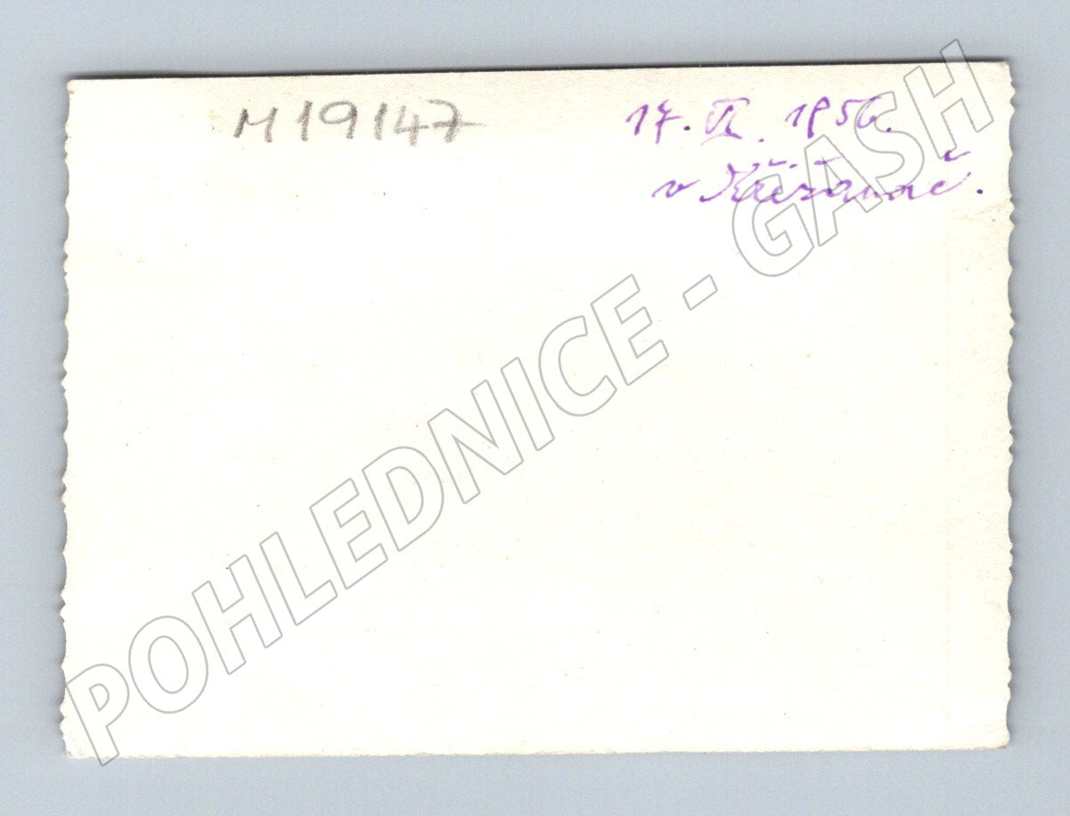Pohlednice Třešňovec parní vlak železniční doprava 1956 (M19147)