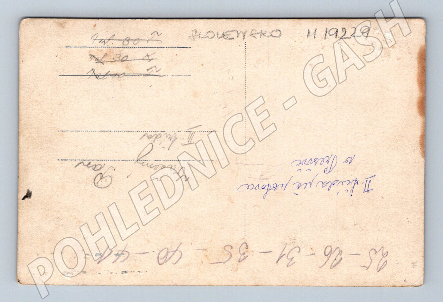 Pohlednice skupina dívek a učitelů Přešov Škola (M19229)