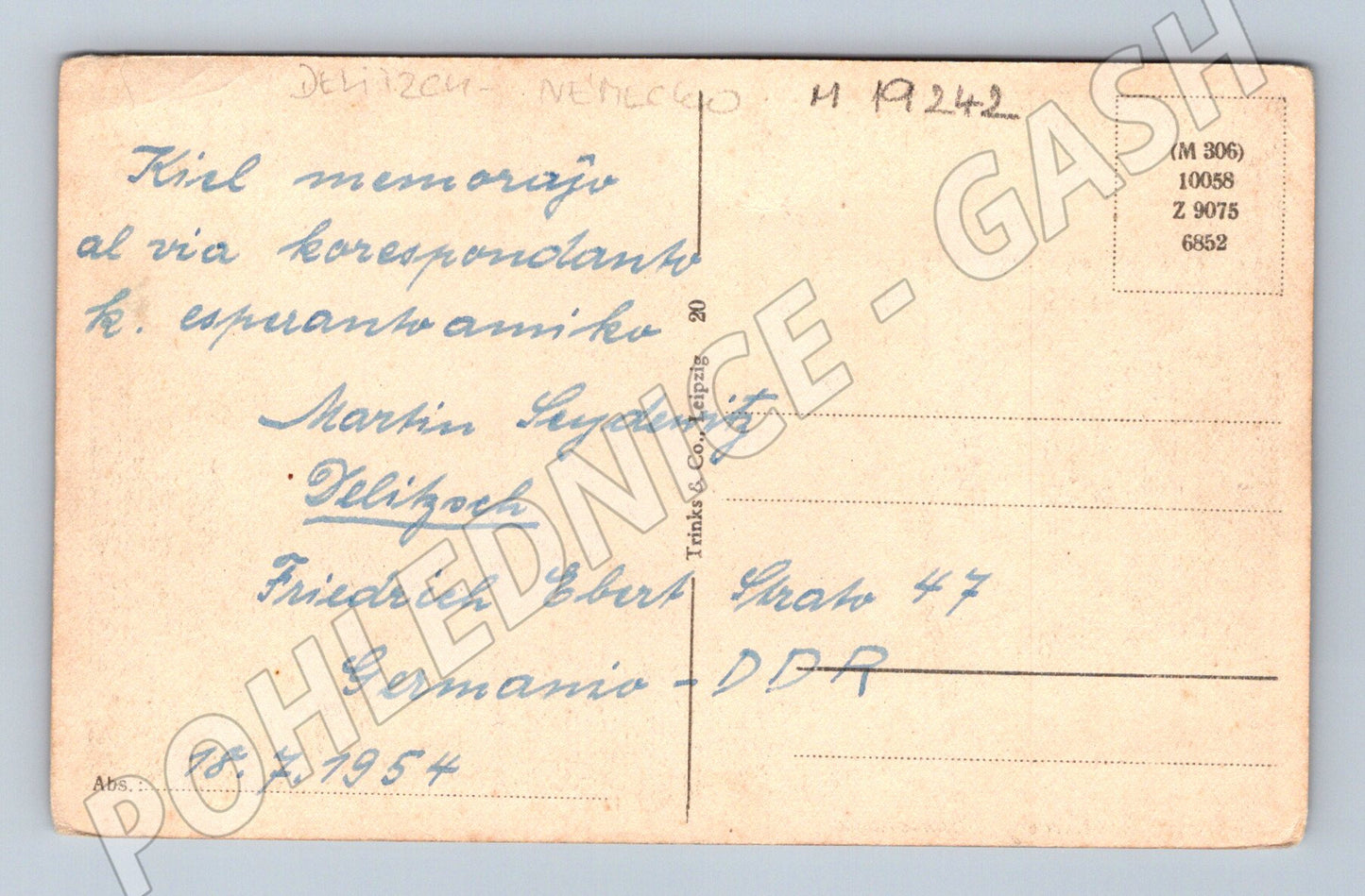 Pohlednice Německo Delitzsch Ehrenberg Promenade portrét 1954 (M19242)