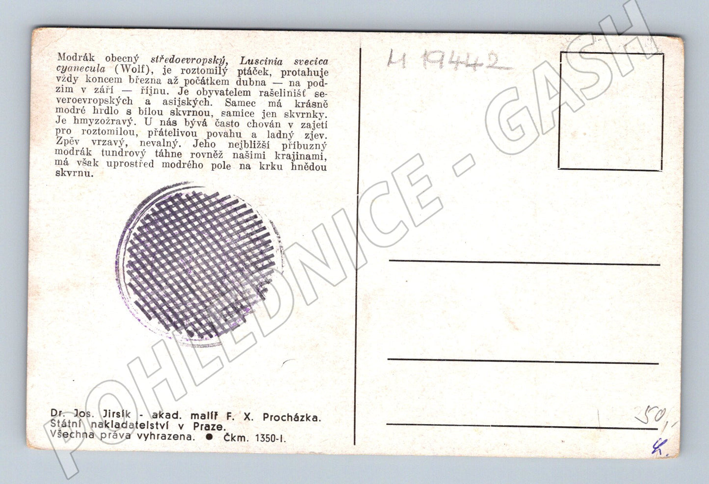 Pohlednice Modrák obecný malba F X Procházka (M19442)