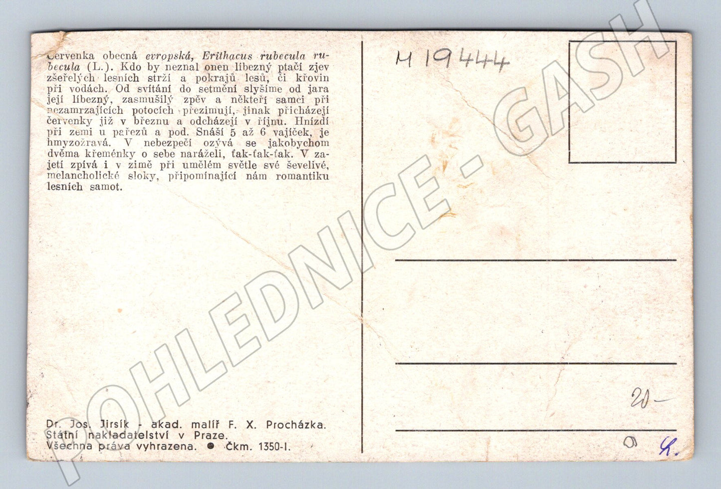 Pohlednice červenka obecná ilustrace F X Procházka (M19444)