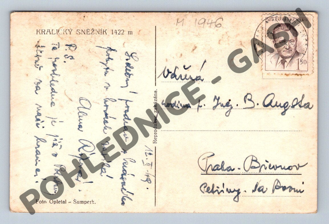 Pohlednice Kralický Sněžník 1422 m zasněžený vrchol 1946 (M1946)