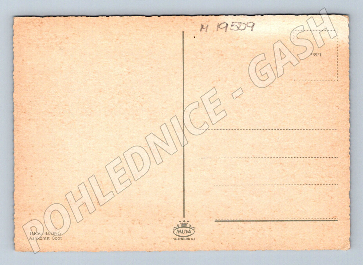 Pohlednice parník Friesland připlutí lodě Terschelling vodní (M19509)