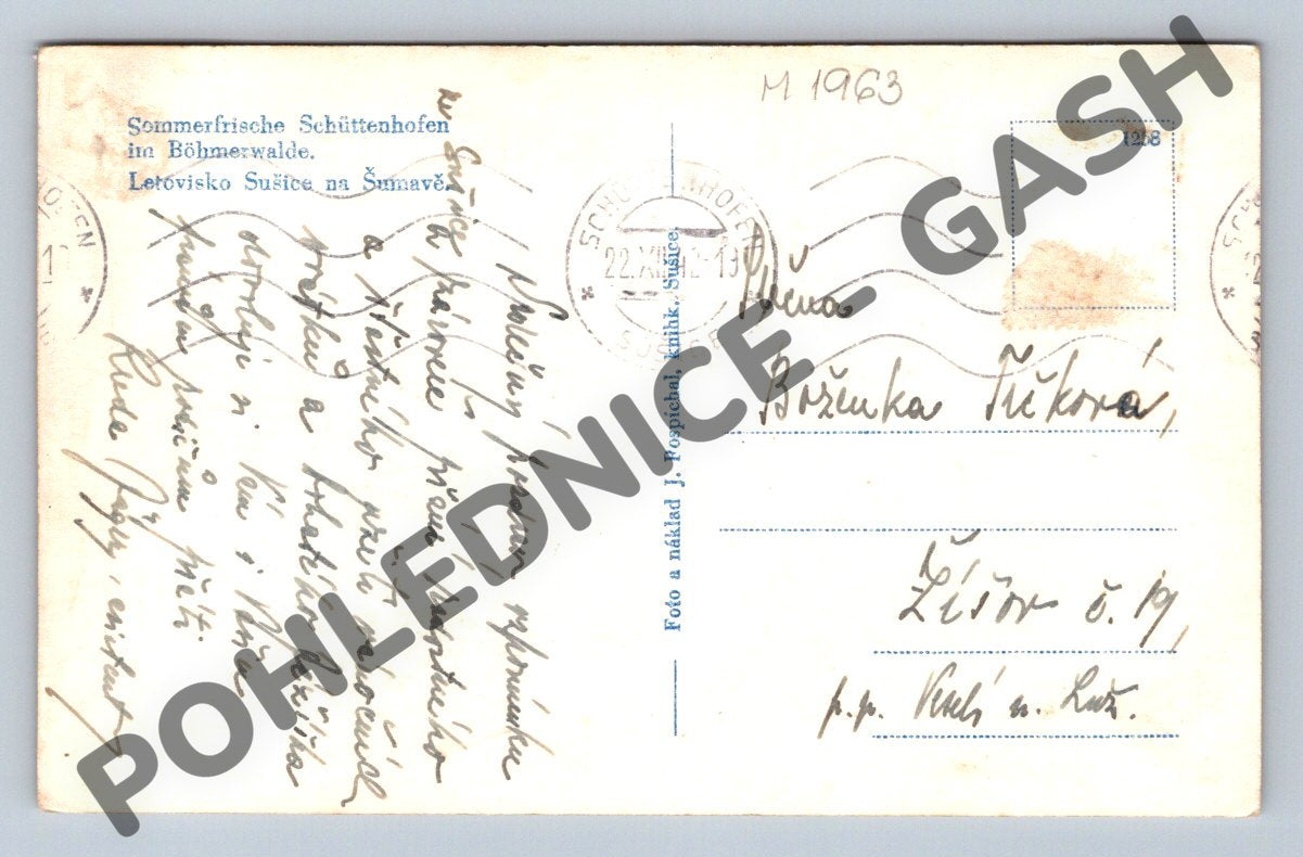 Pohlednice Sušice na Šumavě (M1963)