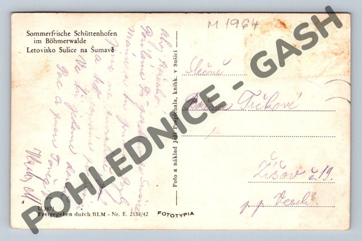 Pohlednice Sušice na Šumavě (M1964)