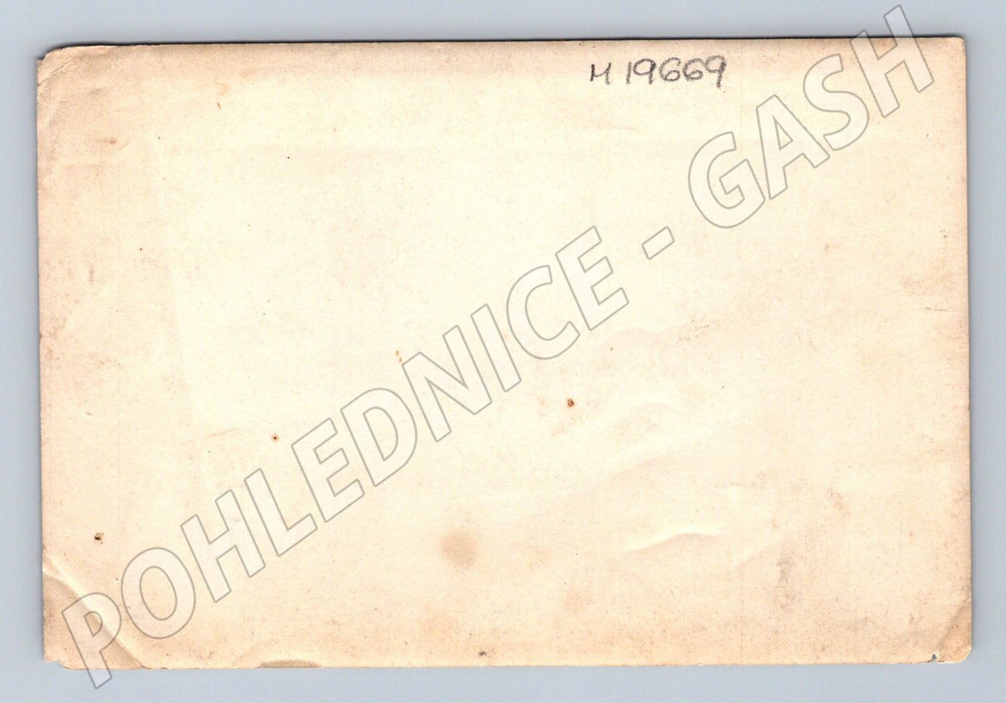 Pohlednice venkovská silnice a stromy čb fotografie (M19669)