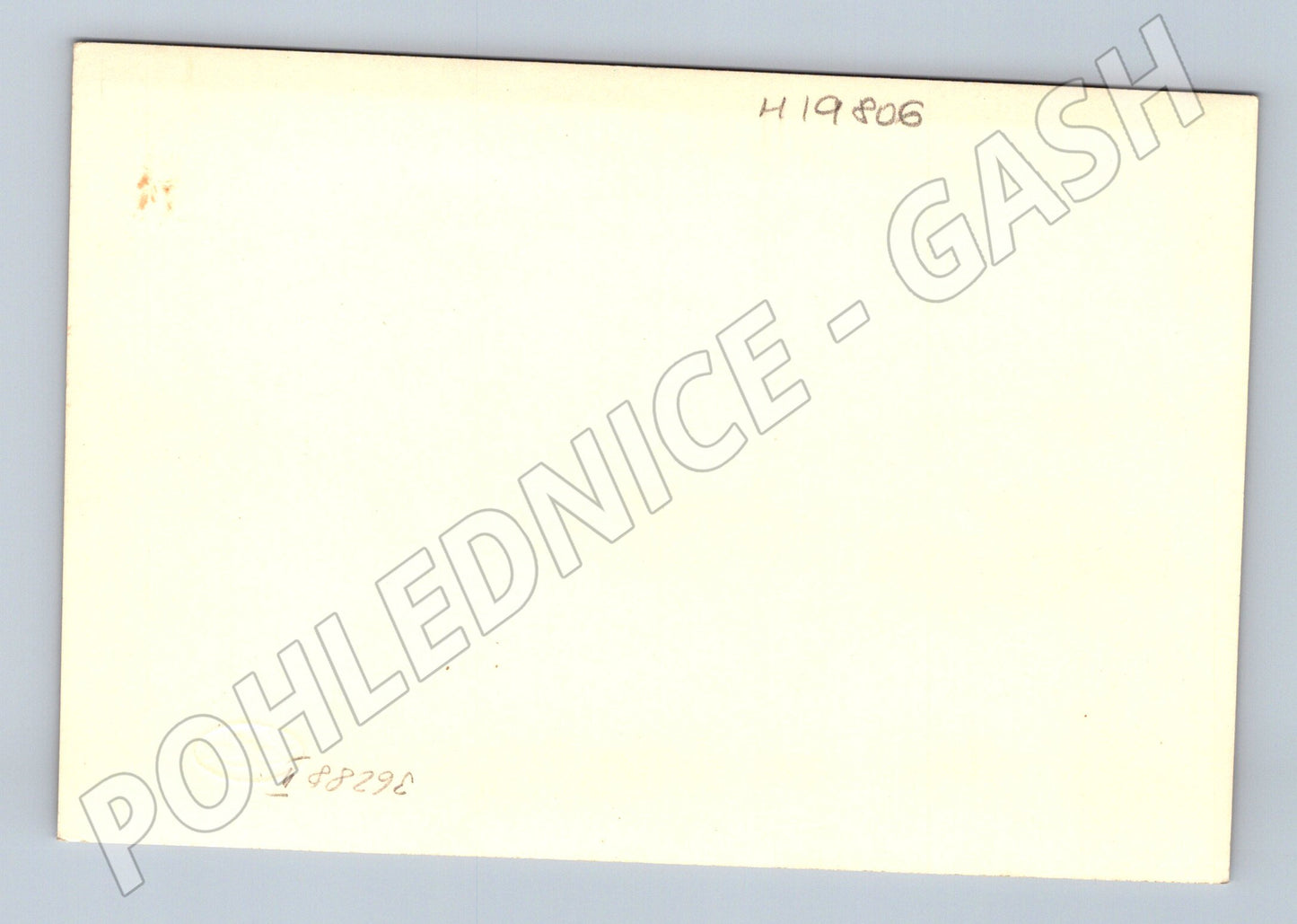 Pohlednice Svatební portrétní nevěsta a ženich (M19806)