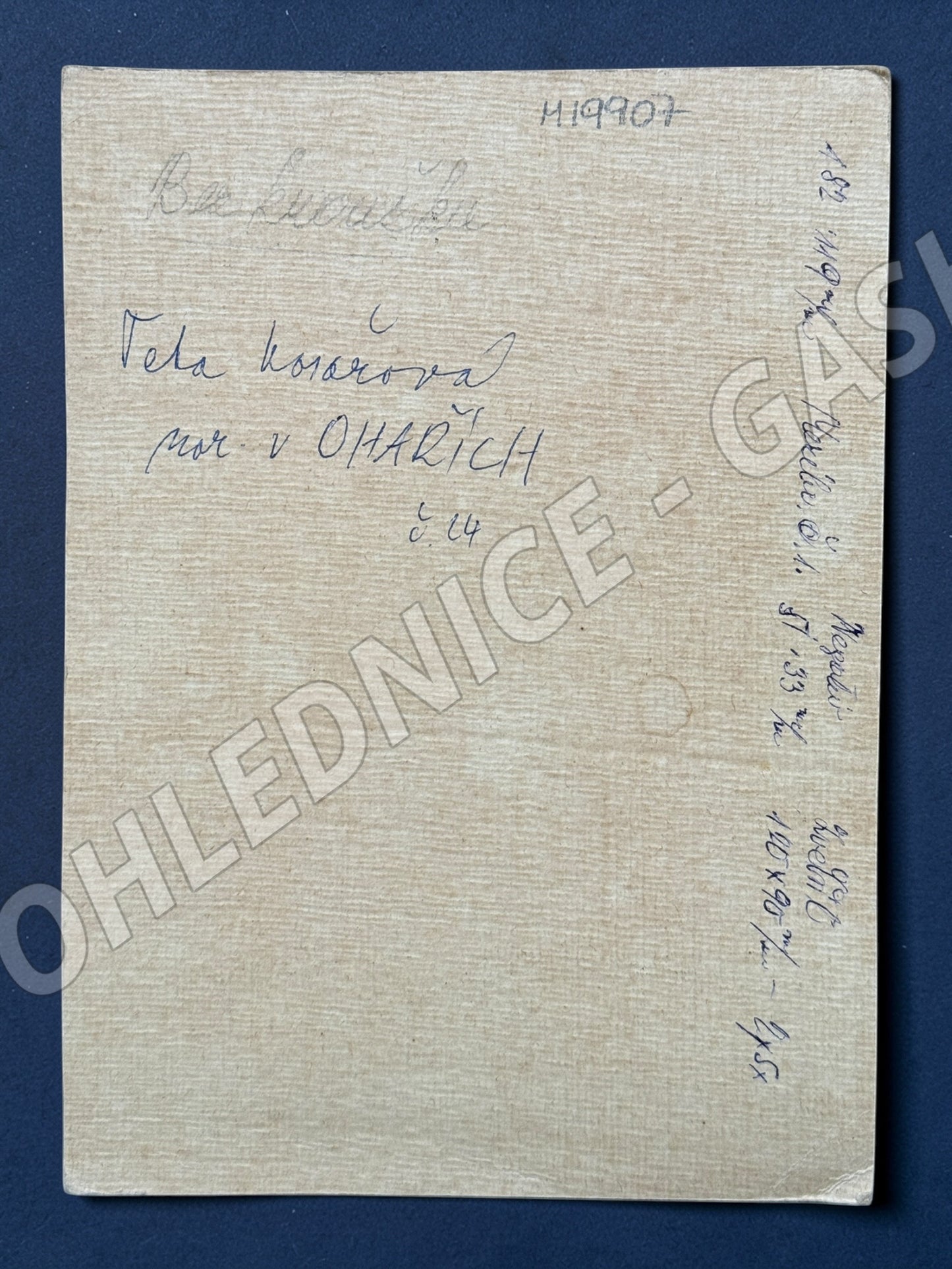 Stará fotografie mladá žena OHAŘE (M19907)