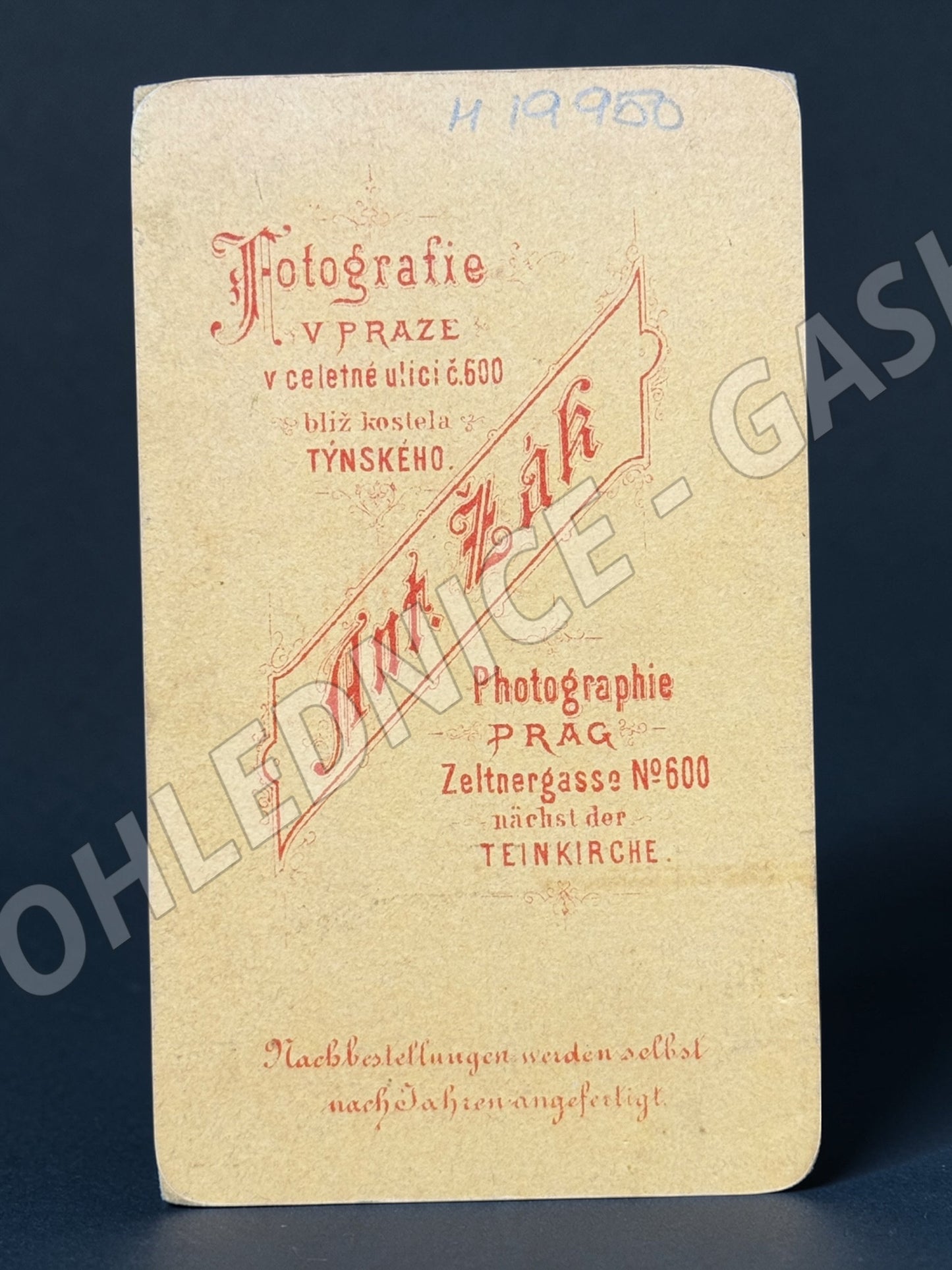 Stará fotografie Praha starší dáma ateliér Ant. Žák (M19950)