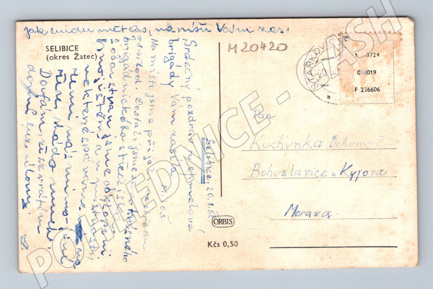Pohlednice Selibice okres Žatec 50 léta (M20420)