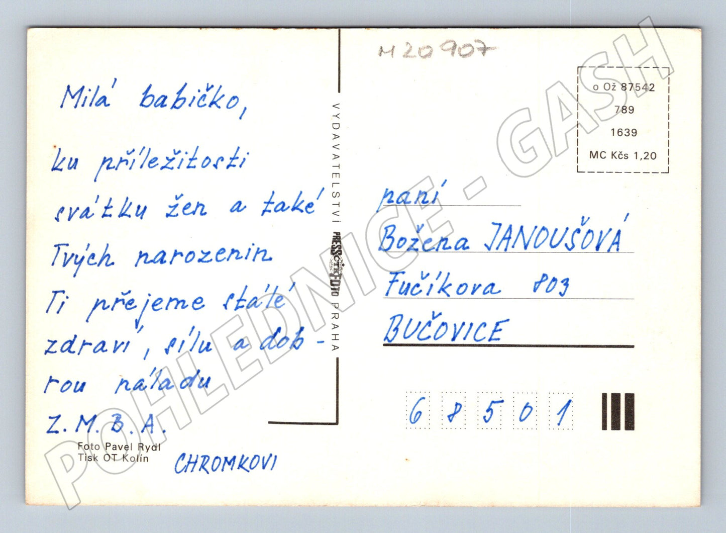 Pohlednice kopretiny Pressfoto Praha (M20907)