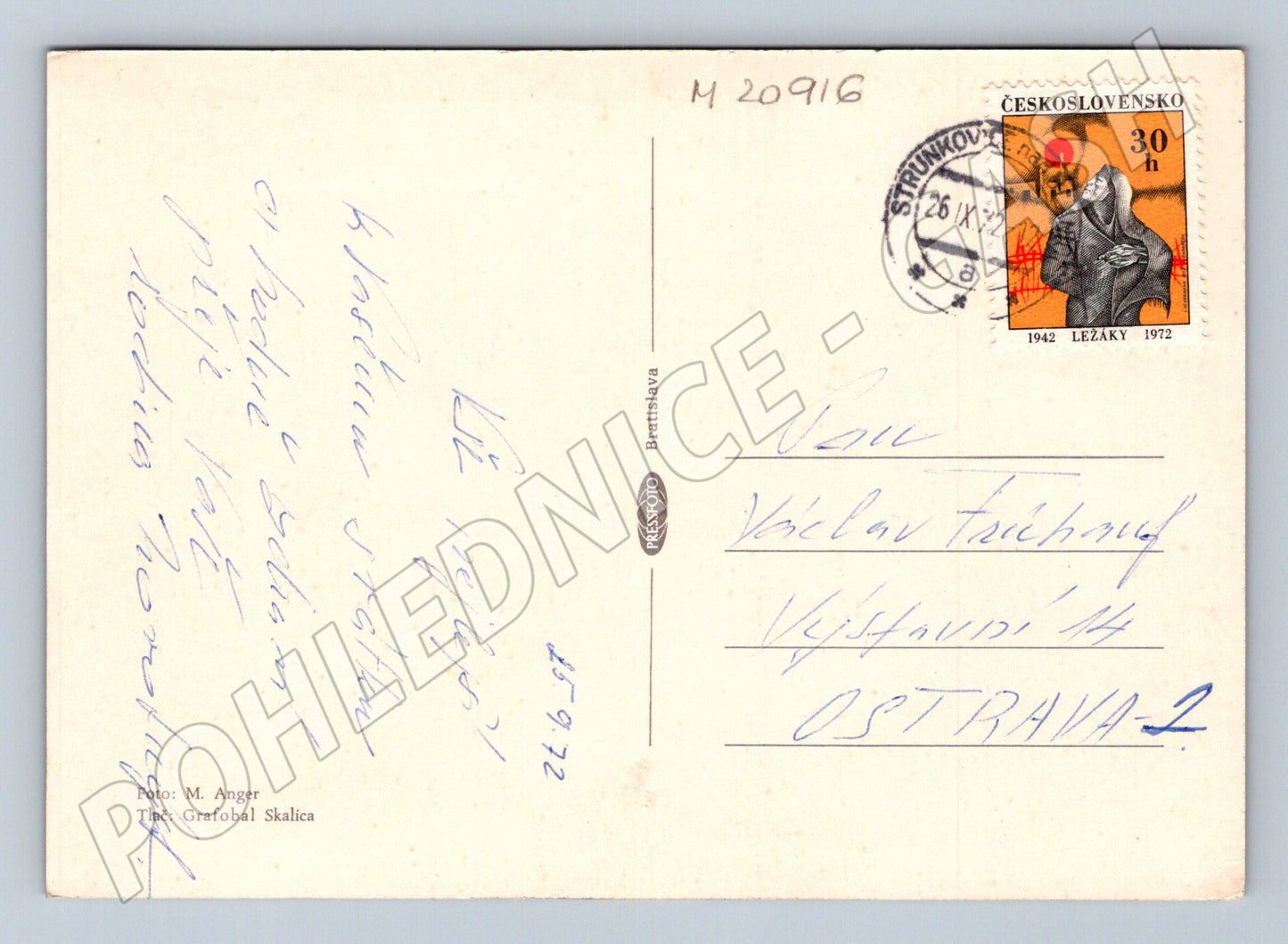 Pohlednice skutečné blahopřání růže kopretiny 1972 (M20916)