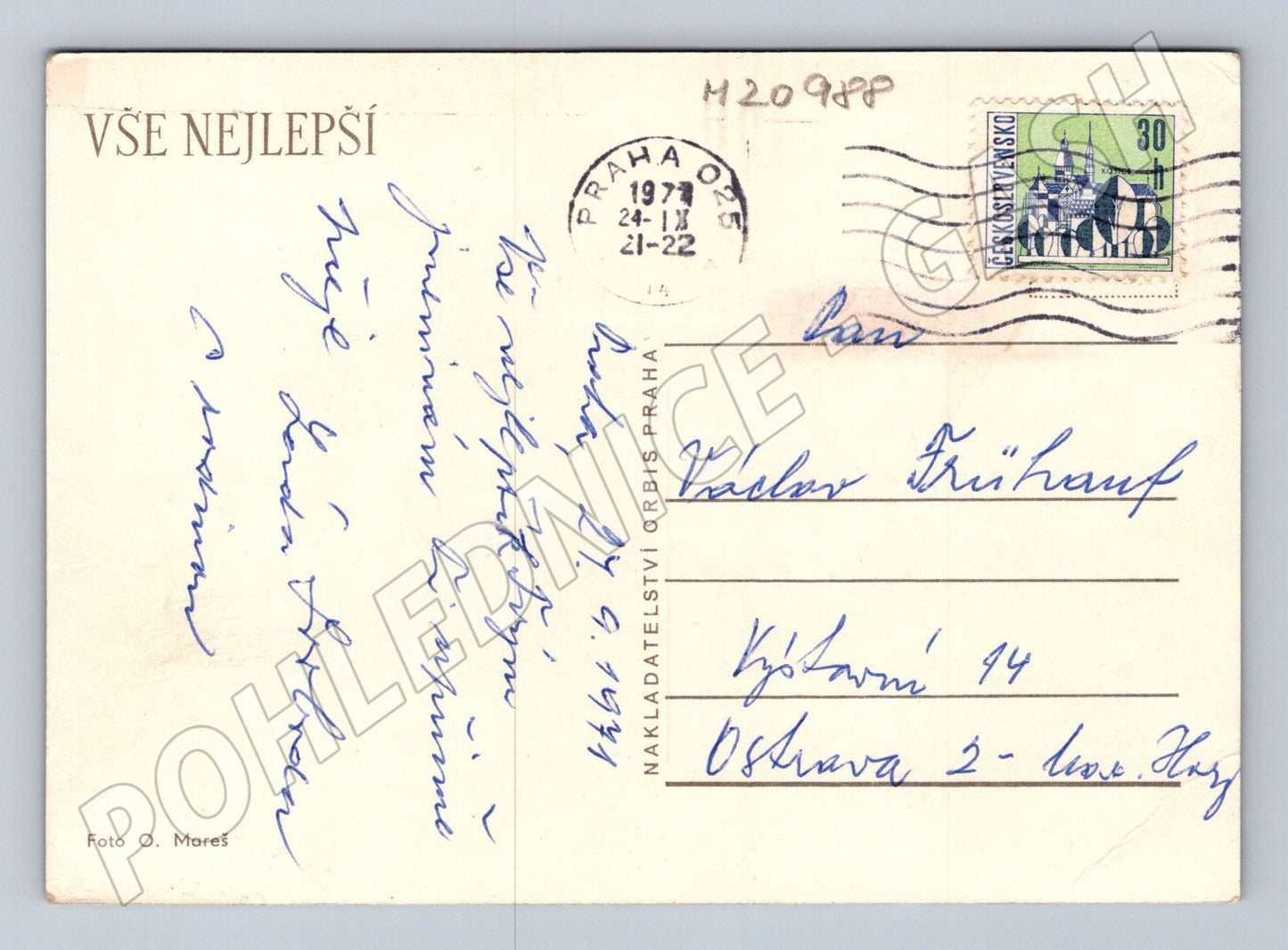 Pohlednice žluté růže 1974 (M20988)
