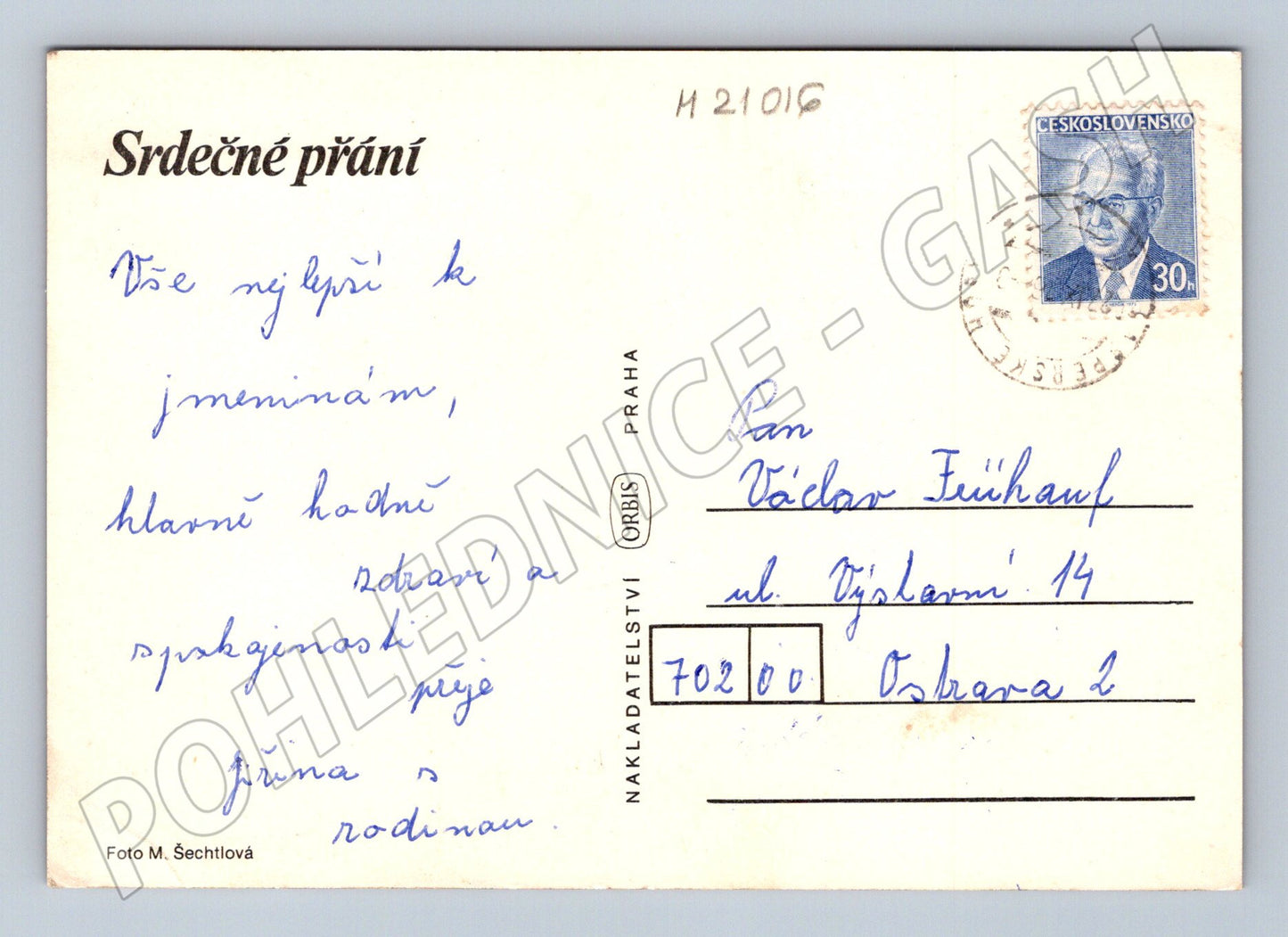 Pohlednice bílá růže přání (M21016)