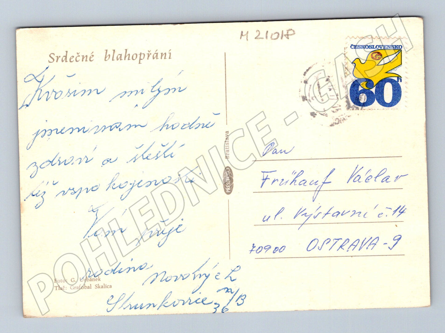 Pohlednice růže blahopřání (M21018)